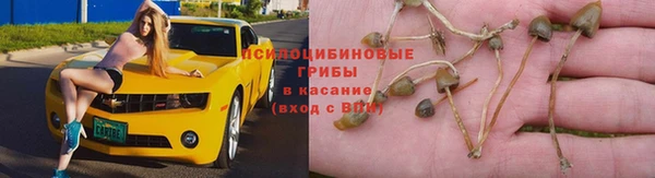 ALPHA-PVP Белокуриха